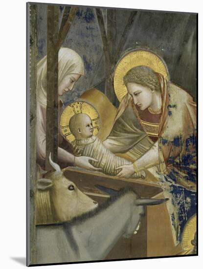 The, Detail Nativity-Giotto di Bondone-Mounted Giclee Print