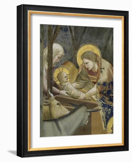 The, Detail Nativity-Giotto di Bondone-Framed Giclee Print