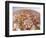 The Devastation Left by Hurricane Andrew is Clear-null-Framed Photographic Print