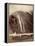 The Devil's Slide, Union Pacific Railroad, Utah, 1880-Carleton Emmons Watkins-Framed Premier Image Canvas