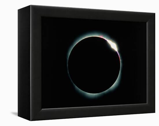 The Diamond Ring Effect During a Solar Eclipse-David Nunuk-Framed Premier Image Canvas