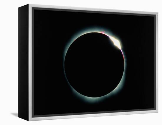 The Diamond Ring Effect During a Solar Eclipse-David Nunuk-Framed Premier Image Canvas