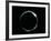 The Diamond Ring Effect During a Solar Eclipse-David Nunuk-Framed Photographic Print