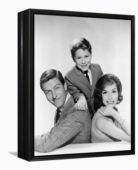 The Dick Van Dyke Show (1961)-null-Framed Stretched Canvas