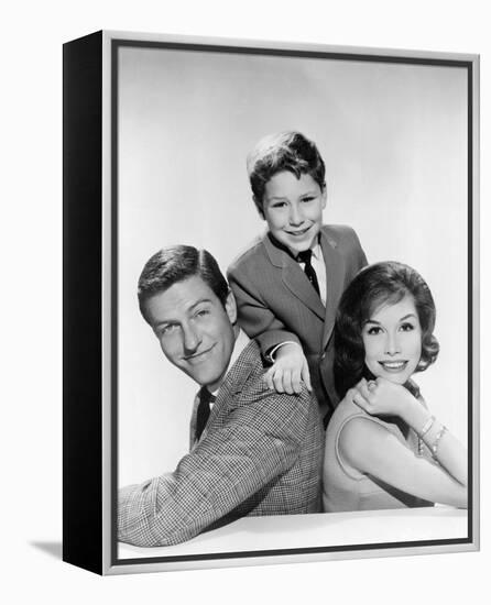 The Dick Van Dyke Show (1961)-null-Framed Stretched Canvas