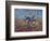 The Diggers-Vincent van Gogh-Framed Giclee Print