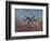 The Diggers-Vincent van Gogh-Framed Giclee Print