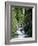 The Diosaz Gorge, Servoz Near Chamonix, Haute-Savoie, Rhone Alps, France-Ruth Tomlinson-Framed Photographic Print