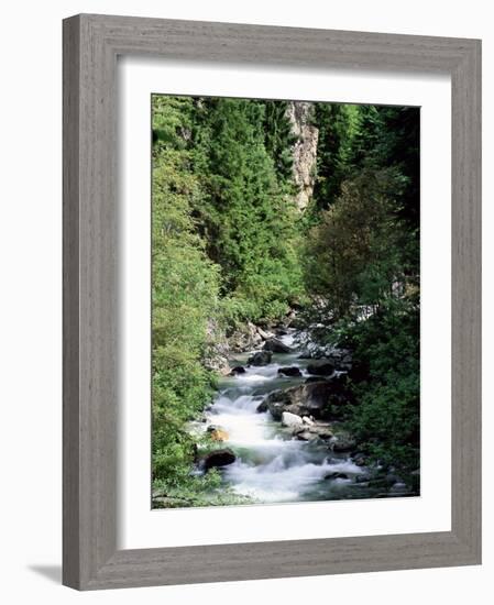 The Diosaz Gorge, Servoz Near Chamonix, Haute-Savoie, Rhone Alps, France-Ruth Tomlinson-Framed Photographic Print