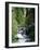 The Diosaz Gorge, Servoz Near Chamonix, Haute-Savoie, Rhone Alps, France-Ruth Tomlinson-Framed Photographic Print