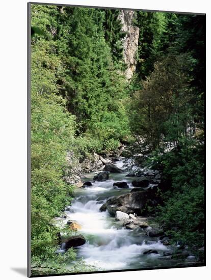 The Diosaz Gorge, Servoz Near Chamonix, Haute-Savoie, Rhone Alps, France-Ruth Tomlinson-Mounted Photographic Print