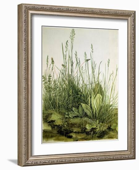 The Dirt with Wild Herbs, 1503 (Watercolour)-Albrecht Dürer or Duerer-Framed Giclee Print