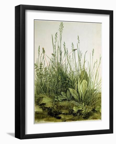 The Dirt with Wild Herbs, 1503 (Watercolour)-Albrecht Dürer or Duerer-Framed Giclee Print