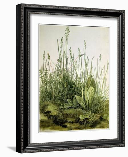 The Dirt with Wild Herbs, 1503 (Watercolour)-Albrecht Dürer or Duerer-Framed Giclee Print