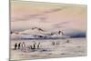 'The Discovery Winter Quarters', c.1901-04-Edward Adrian Wilson-Mounted Giclee Print