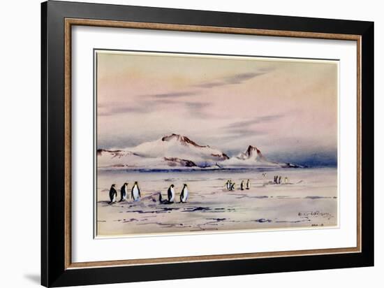 'The Discovery Winter Quarters', c.1901-04-Edward Adrian Wilson-Framed Giclee Print