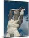 Premium Photographic Print