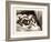 The Disguised Wolf-Gustave Dore-Framed Giclee Print