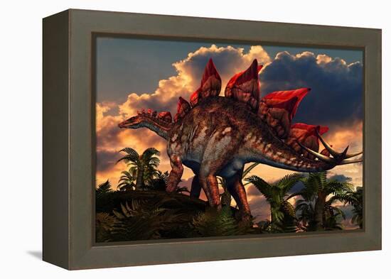 The Distinctive Shape of Stegosaurus Stands Out Against the Sunset-null-Framed Stretched Canvas