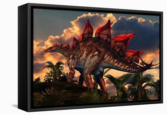 The Distinctive Shape of Stegosaurus Stands Out Against the Sunset-null-Framed Stretched Canvas