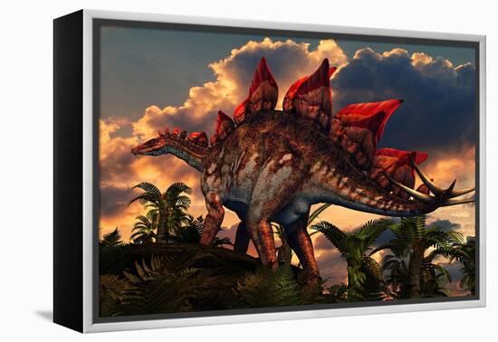 The Distinctive Shape of Stegosaurus Stands Out Against the Sunset-null-Framed Stretched Canvas