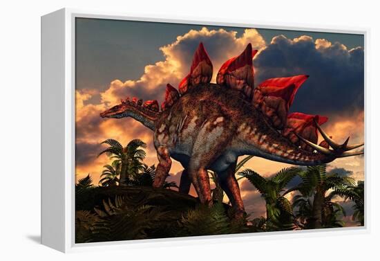 The Distinctive Shape of Stegosaurus Stands Out Against the Sunset-null-Framed Stretched Canvas