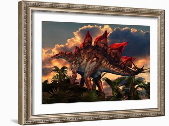 The Distinctive Shape of Stegosaurus Stands Out Against the Sunset-null-Framed Art Print