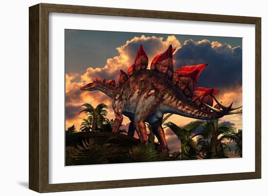 The Distinctive Shape of Stegosaurus Stands Out Against the Sunset-null-Framed Art Print