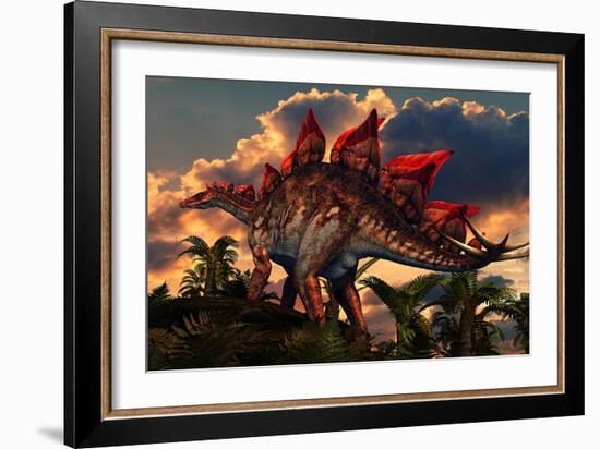 The Distinctive Shape of Stegosaurus Stands Out Against the Sunset-null-Framed Art Print