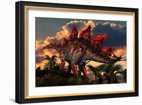 The Distinctive Shape of Stegosaurus Stands Out Against the Sunset-null-Framed Art Print