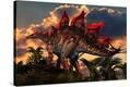 Stretched Canvas Print