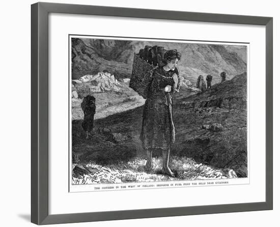 The Distress in the West Ireland: Bringing in Fuel from the Hills Near Kylemore, 19th Century-null-Framed Giclee Print