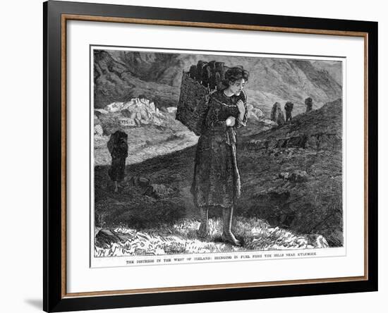 The Distress in the West Ireland: Bringing in Fuel from the Hills Near Kylemore, 19th Century-null-Framed Giclee Print