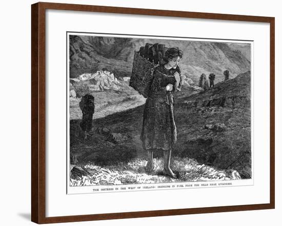 The Distress in the West Ireland: Bringing in Fuel from the Hills Near Kylemore, 19th Century-null-Framed Giclee Print