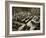 The Dock at the Nuremberg Trials. Front Row from Left: Hermann Goring-null-Framed Giclee Print