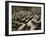 The Dock at the Nuremberg Trials. Front Row from Left: Hermann Goring-null-Framed Giclee Print