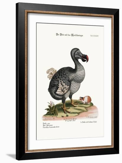 The Dodo, and the Guiney Pig, 1749-73-George Edwards-Framed Giclee Print