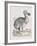 The Dodo-Frederick P. Nodder-Framed Giclee Print