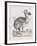 The Dodo-Frederick P. Nodder-Framed Giclee Print