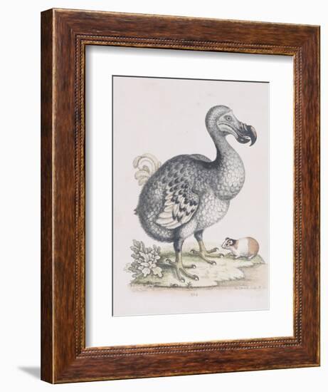 The Dodo-Frederick P. Nodder-Framed Giclee Print