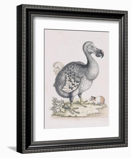 The Dodo-Frederick P. Nodder-Framed Giclee Print