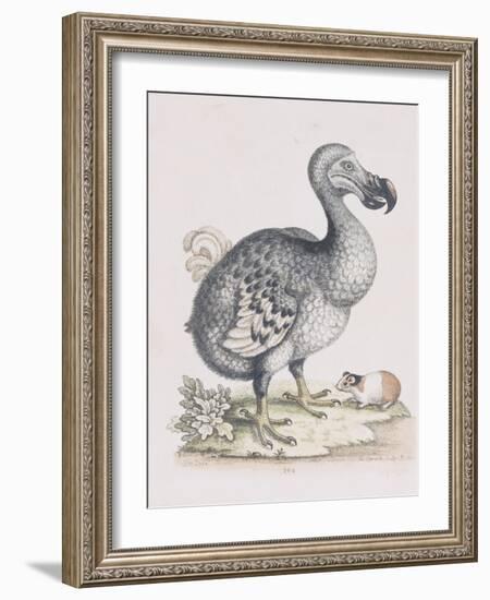 The Dodo-Frederick P. Nodder-Framed Giclee Print