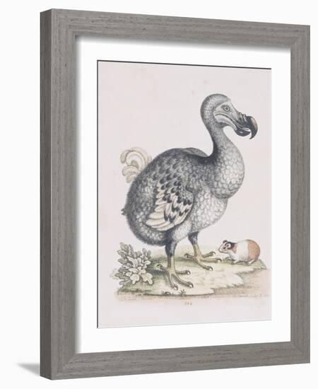 The Dodo-Frederick P. Nodder-Framed Giclee Print