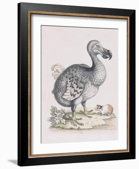 The Dodo-Frederick P. Nodder-Framed Giclee Print