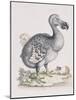 The Dodo-Frederick P. Nodder-Mounted Giclee Print