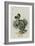 The Dodo-John Tenniel-Framed Giclee Print