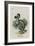 The Dodo-John Tenniel-Framed Giclee Print