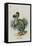 The Dodo-John Tenniel-Framed Premier Image Canvas
