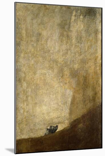 The Dog, 1820-23-Francisco de Goya-Mounted Giclee Print