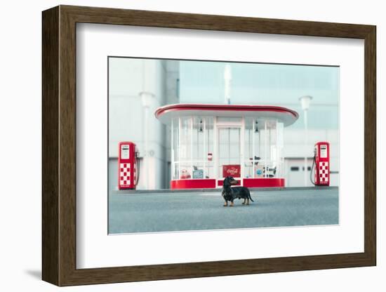 The Dog in the Gas Station-Heike Willers-Framed Photographic Print